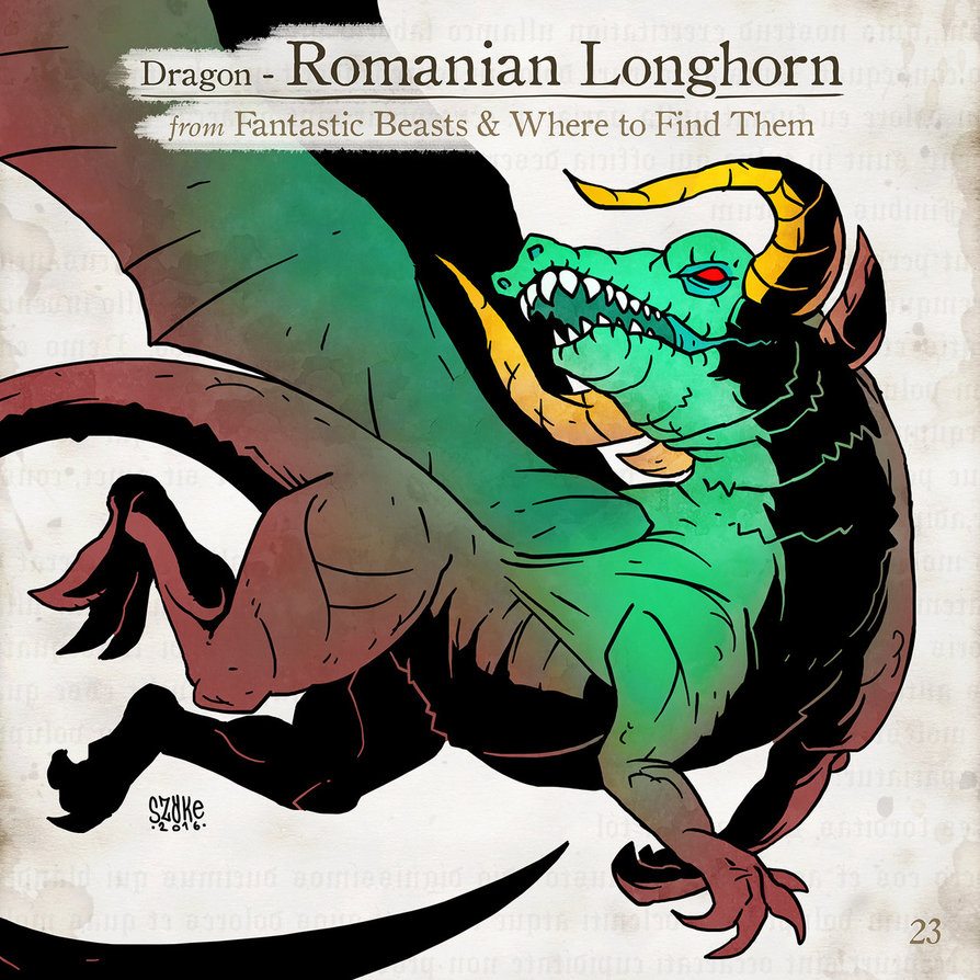 Romanian Longhorn