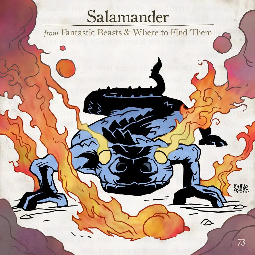 Salamander