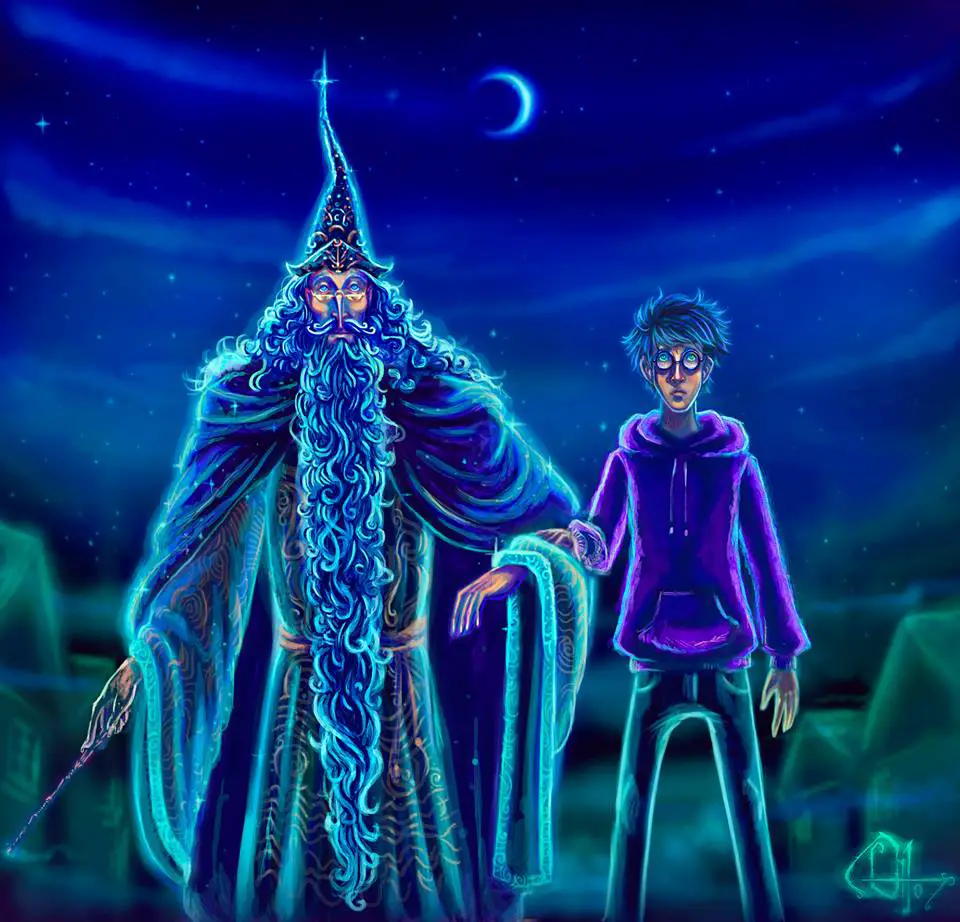 Harry Dumbledore Sidealong