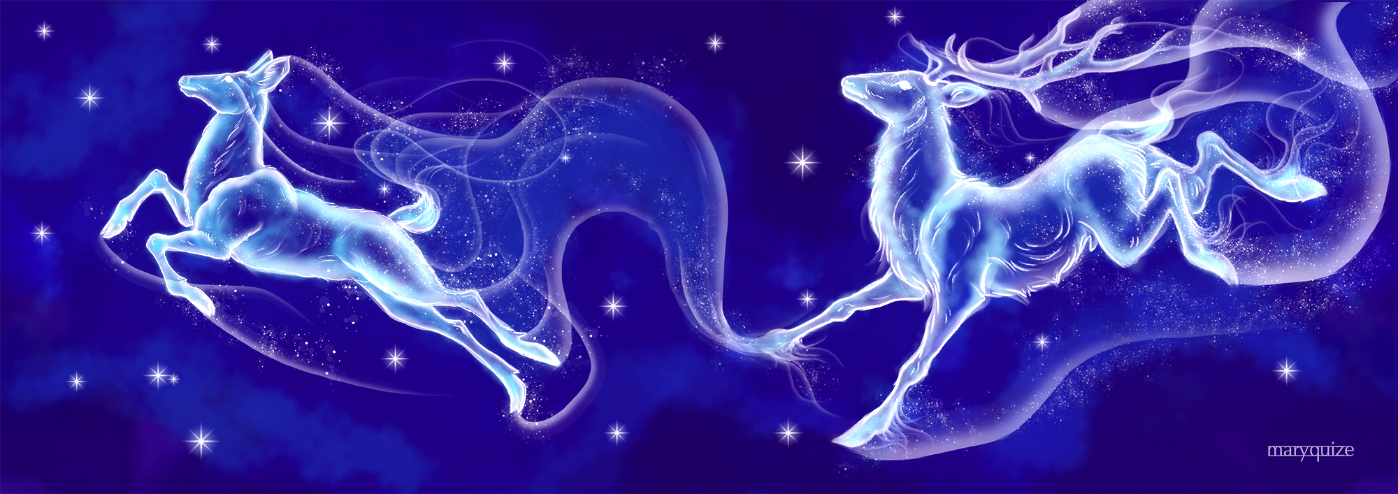 deer and doe together deer and doe together