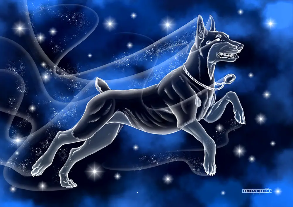 Doberman Felony as a Patronus