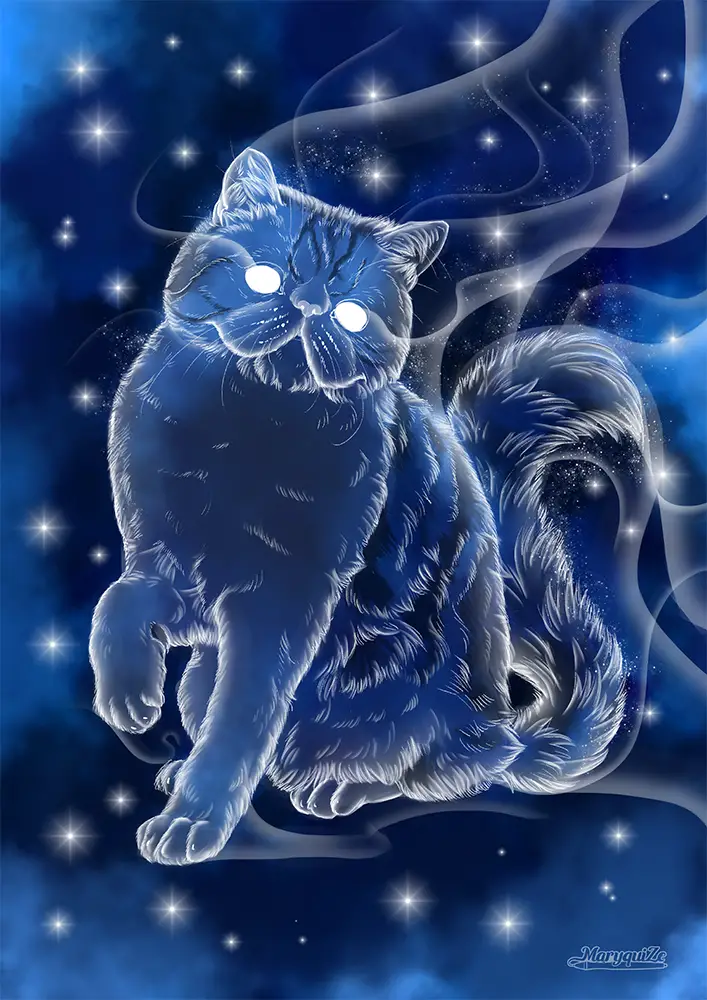 Exotic Shorthair Cat Patronus