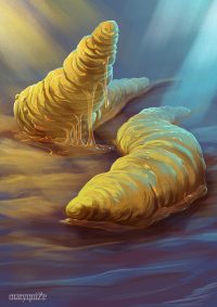 Flobberworms Flobberworms