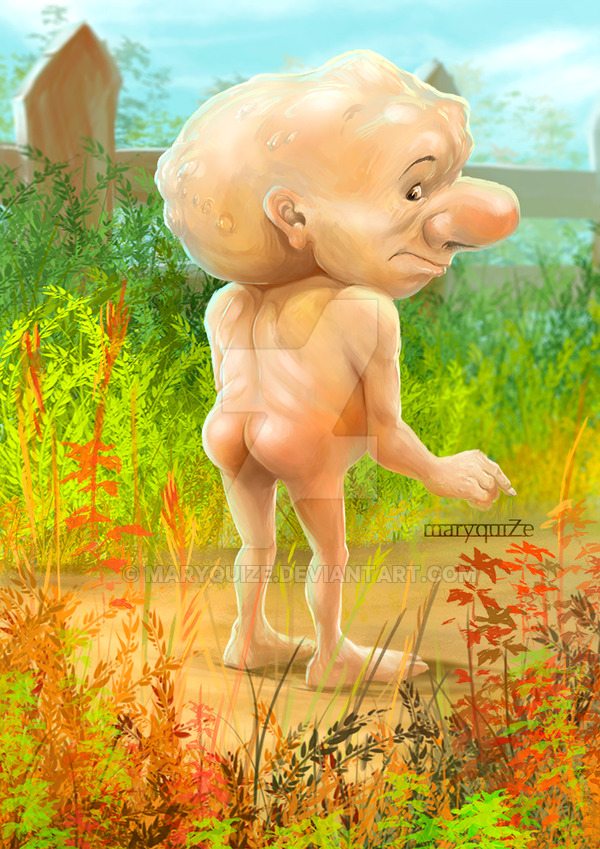 gnome gnome