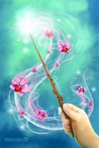 Orchideous Orchideous