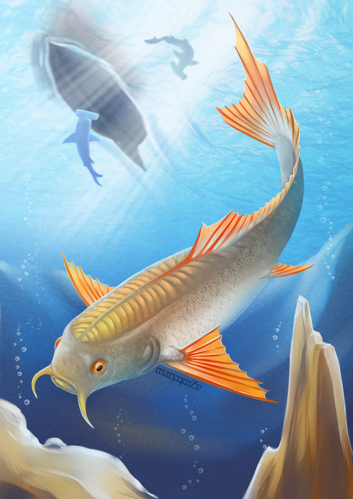 Ramora Fantastic beasts and where to find them Ramora Fantastic beasts and where to find them