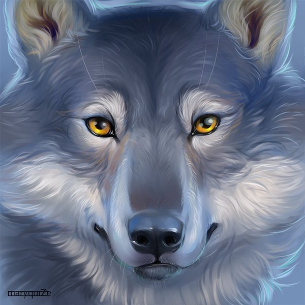 Wolf. Sai Sketch