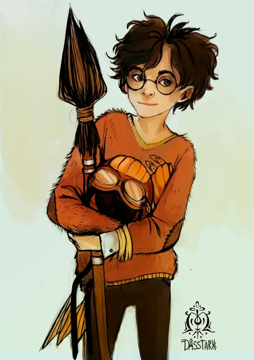 Harry – Quidditch