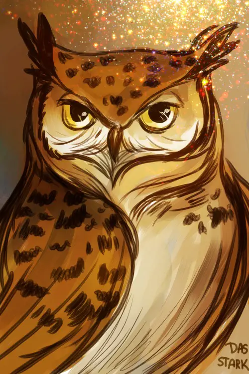 magical-owl-dasstark