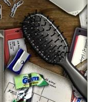 hairbrush