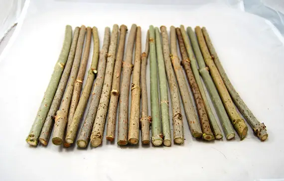 Elder Sticks