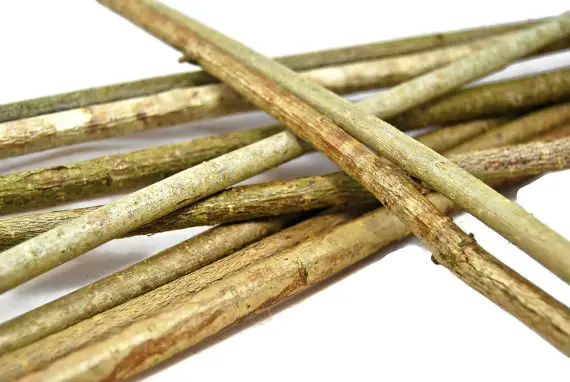 hazel-sticks