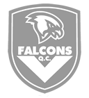 Falmouth Falcons logo 2