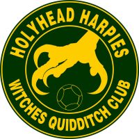 The Holyhead Harpies Quidditch team is formed