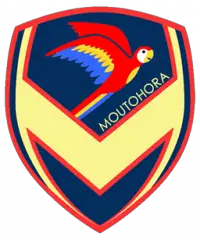 Moutohora Macaws
