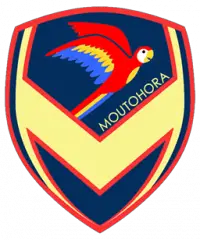 Moutohora Macaws Moutohora Macaws