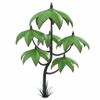 Thaumatagoria Thaumatagoria