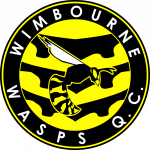 Wimbourne Wasps Quidditch team logo