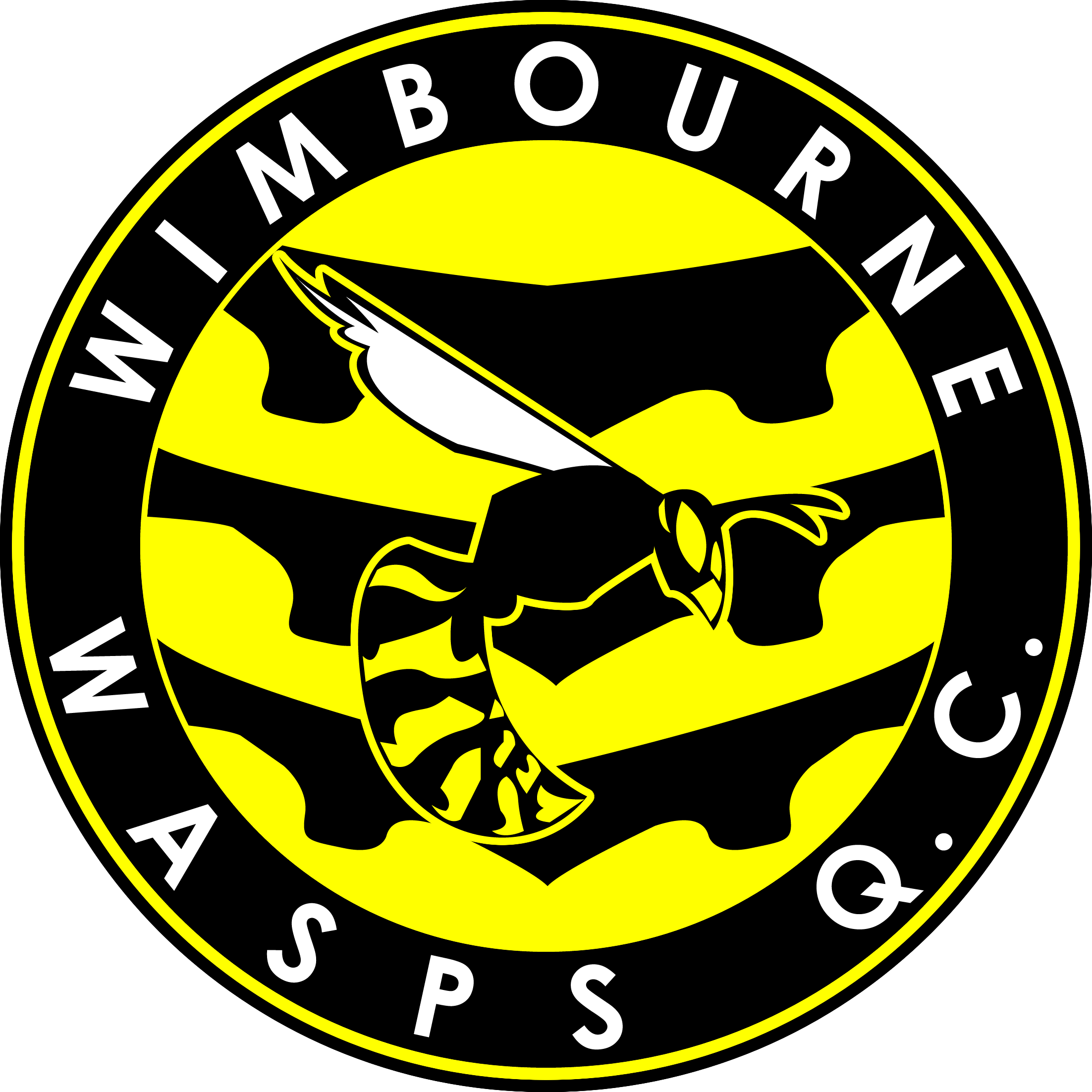 Wimbourne Wasps logo 1