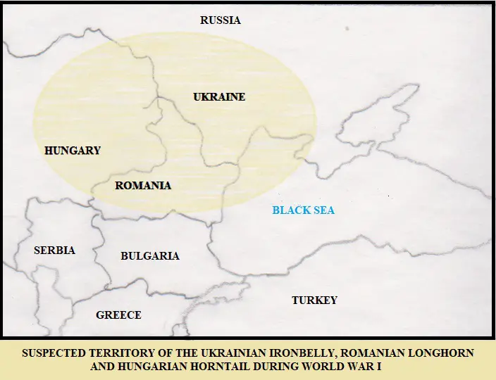 Suspected territory of the Ukrainian Ironbelly, Romanian Longhorn and Hungarian Horntail during World War I.
