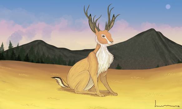 jackalope_by_louisetheanimator_da3hqam-350t jackalope_by_louisetheanimator_da3hqam-350t