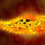 Fire lizard