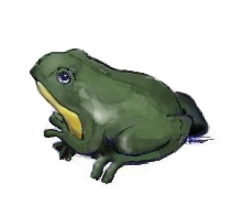 toad-me toad-me